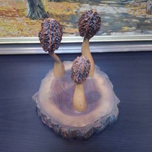 🍄 Morel Mushroom 🔥✨ Statue Handmade Homemade Wooden Wood Decor Art Piece 💎 🌞